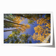 Rolled print of Vail, Colorado landscape with soft earth tones, ideal for art wall dining room decor.