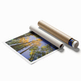Extra large rolled print of Vail, Colorado scenery featuring floral elements in soft pastel shades.