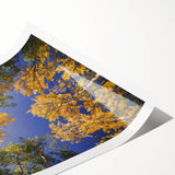 Extra large wall art featuring line art flowers in muted earth tones, ideal for large living room decor.