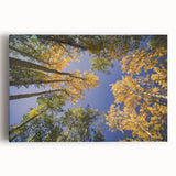 Black and white stretched canvas depicting a serene Vail, Colorado landscape, ideal for kitchen wall art.