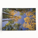 Black and white stretched canvas of Vail, Colorado scenery, ideal for kitchen wall art or bedroom decor.