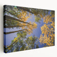 Large art depicting the Vail, Colorado landscape on stretched canvas, with vibrant green and blue tones.