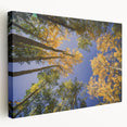 Large art depicting the Vail, Colorado landscape on stretched canvas, with vibrant green and blue tones.
