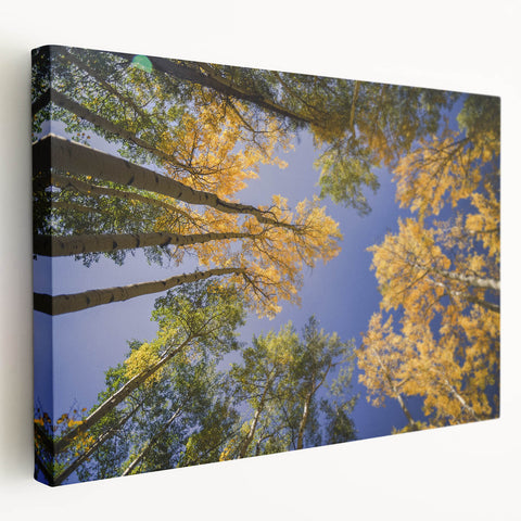 Large art depicting the Vail, Colorado landscape on stretched canvas, with vibrant green and blue tones.