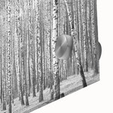 Large abstract wall art depicting a Colorado Aspen landscape in muted earth tones on acrylic glass.