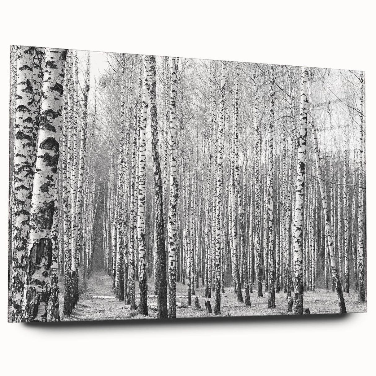 Large abstract depiction of Aspen, Colorado scenery on acrylic glass, with muted earth tones.