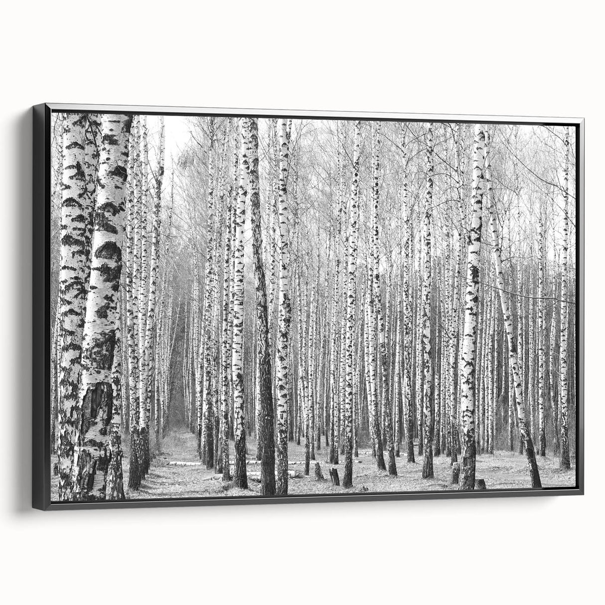 Black and white landscape art painting of Aspen, Colorado on framed canvas, suitable for bedroom wall decor.