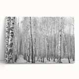 Black and white photograph of Aspen trees on stretched canvas, ideal for kitchen wall art or bedroom ambiance.