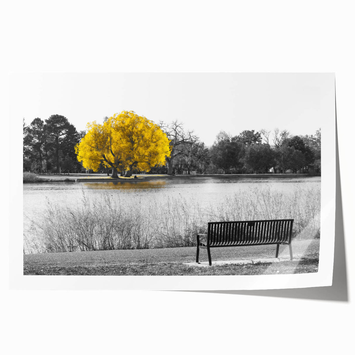 Rolled print of Denver skyline with muted earth tones, ideal for dining room wall art.