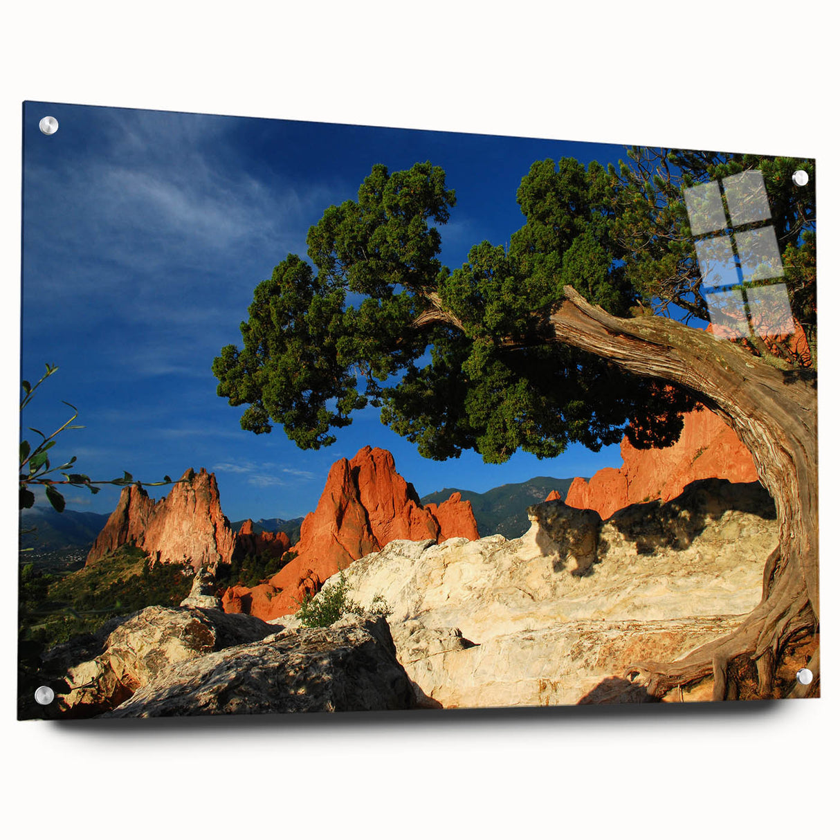 Acrylic print of Colorado Springs landscape in muted earth tones, suitable for bedroom or dining room decor.