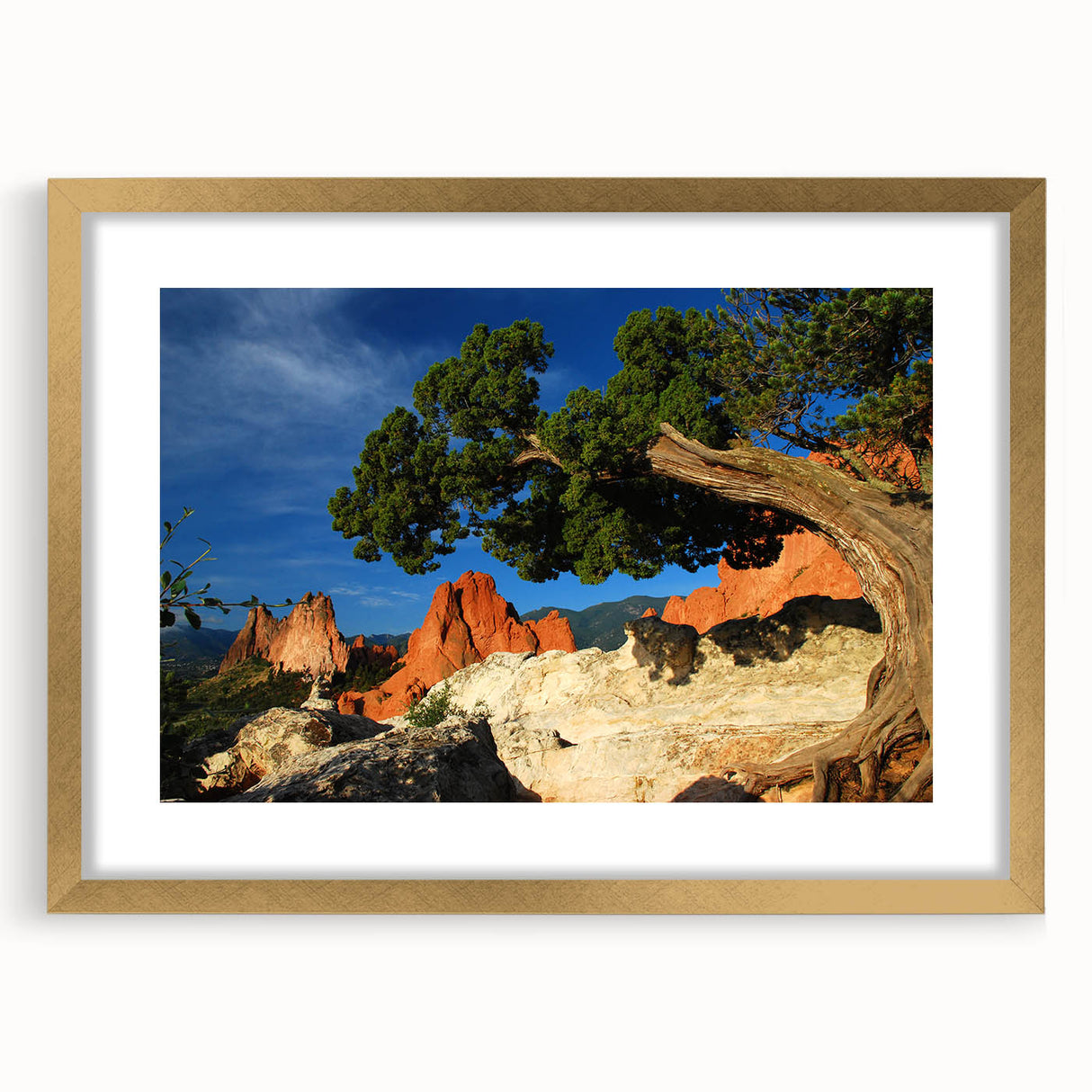 Extra large abstract art print of Colorado Springs landscape in textured hues of gold and blue on a framed canvas.
