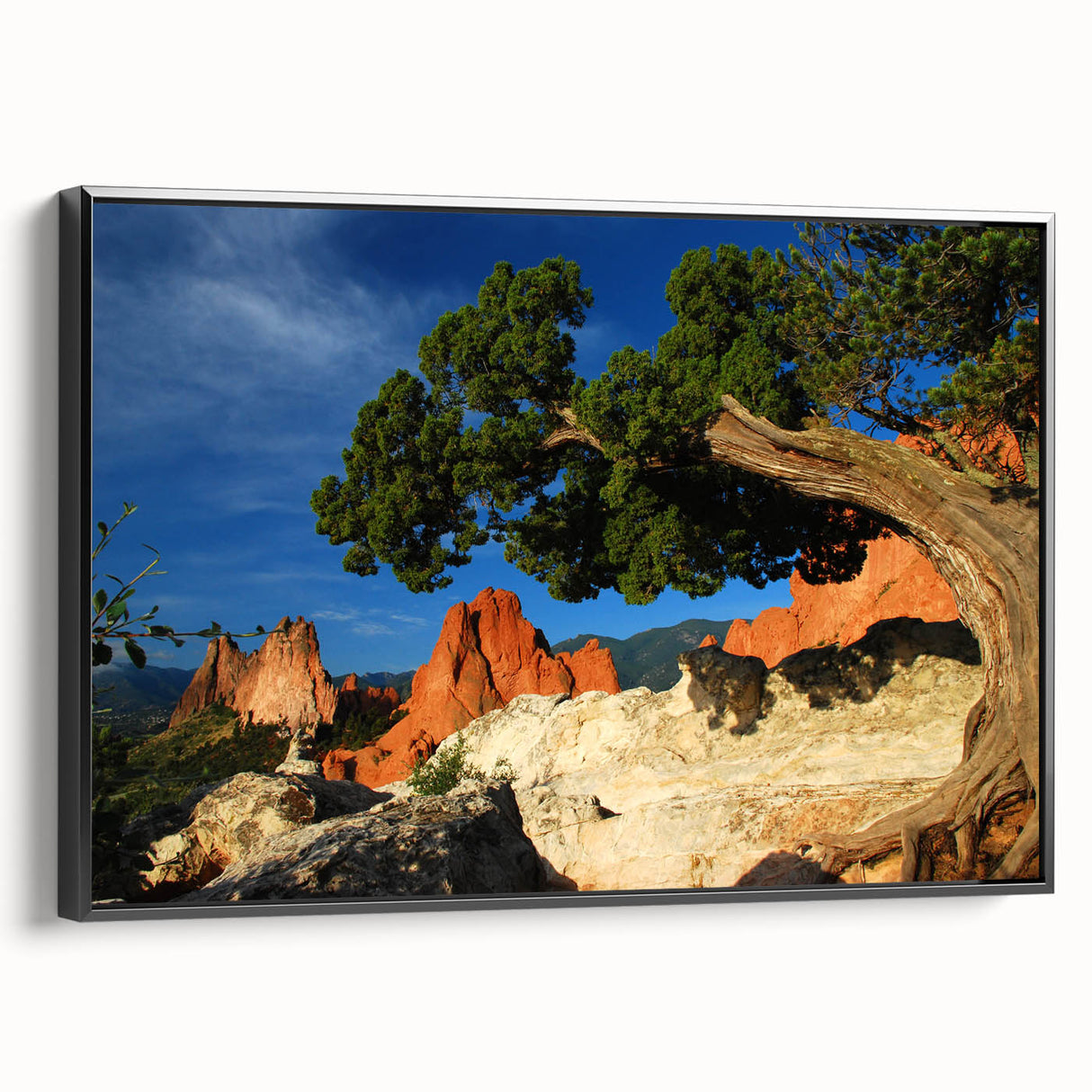 Black and white framed canvas of Colorado Springs landscape, ideal for bedroom wall art.