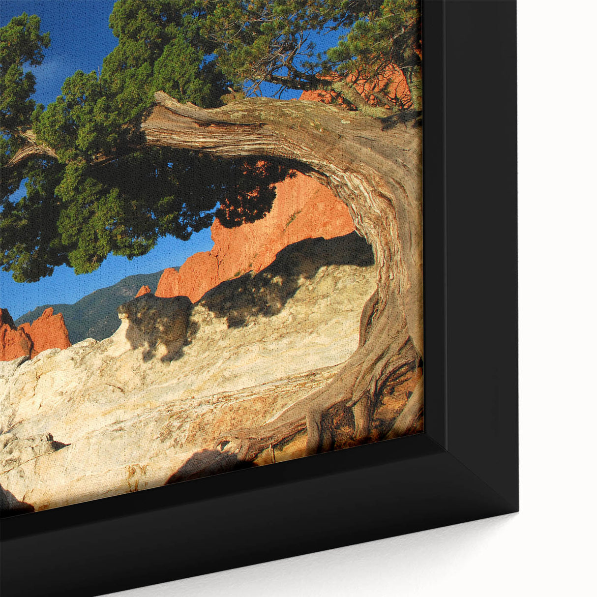 Textured black wall art featuring a colorful Colorado Springs scenery on an extra large framed canvas.
