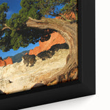 Textured black wall art featuring a colorful Colorado Springs scenery on an extra large framed canvas.
