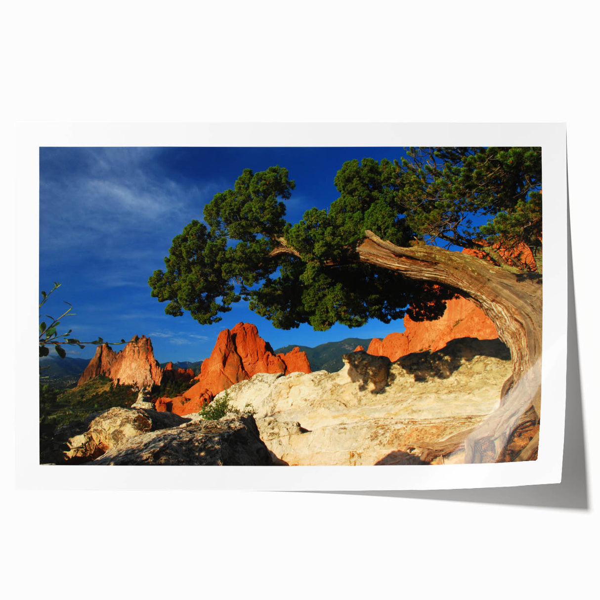 Extra large rolled print of Colorado Springs scenery with vibrant green and blue tones, ideal for dining room wall art.