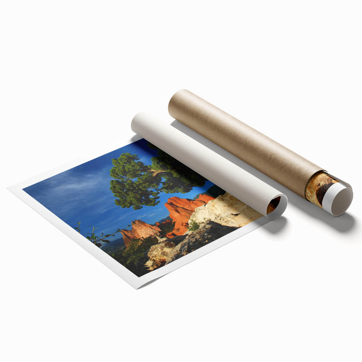Extra large rolled print of Colorado Springs scenery with vibrant green floral elements.