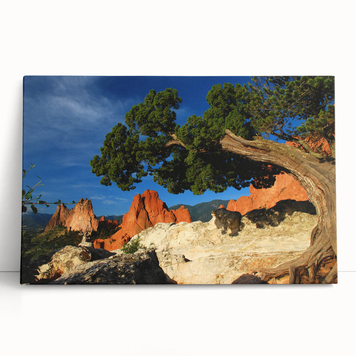 Black and white stretched canvas of Colorado Springs scenery, ideal for kitchen wall art or bedroom ambiance.