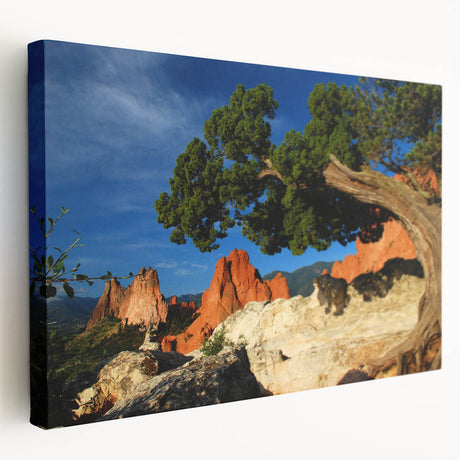Large canvas print featuring a detailed view of Colorado Springs in muted earth tones, suitable for kitchen wall art.