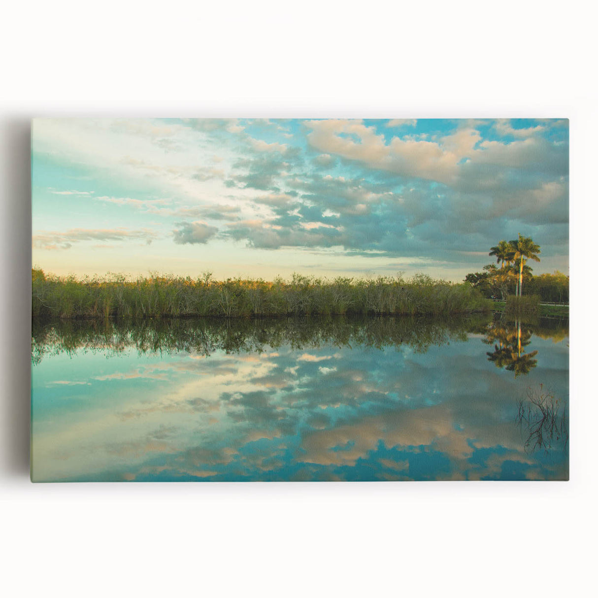 Black and white photograph of Everglades scenery on stretched canvas, ideal for kitchen wall art.