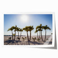Rolled print of Palm Beach scenery with vibrant sunset hues, ideal for art wall dining room decor.