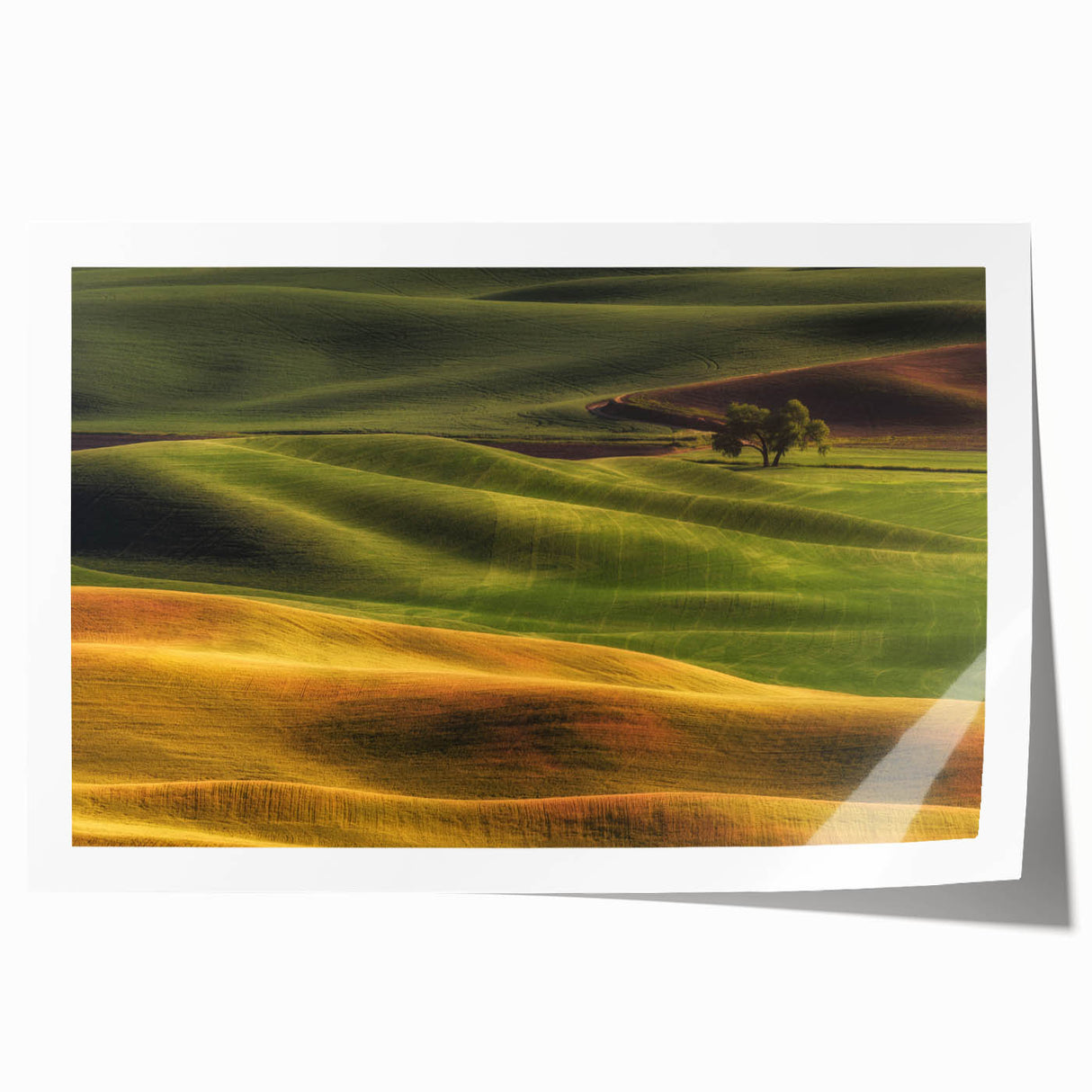 Rolled print of Idaho scenery with lush greenery and a serene lake, ideal for art wall dining room.