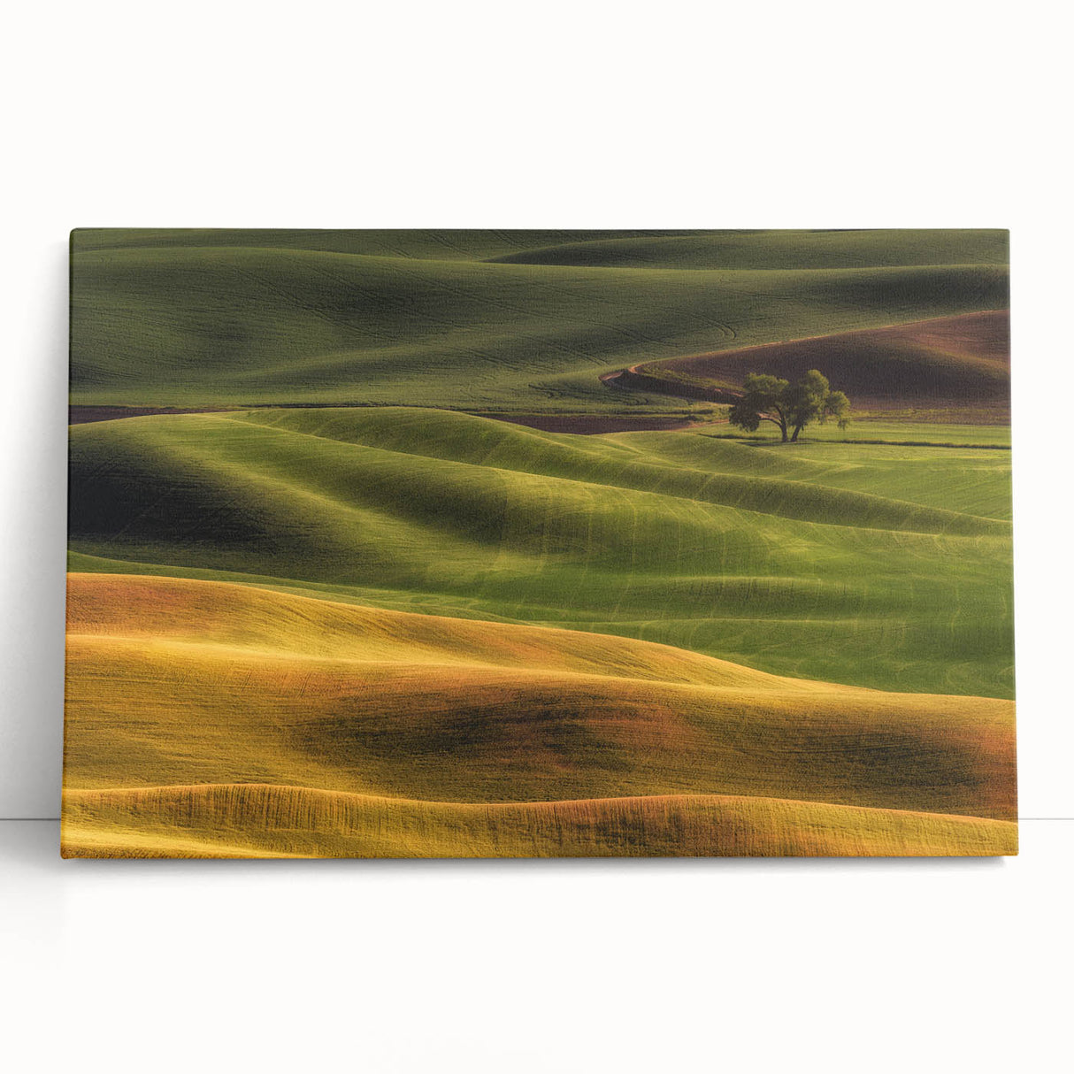 Black and white scenic photograph of Idaho on stretched canvas, suitable as large kitchen wall art or for bedroom ambiance.