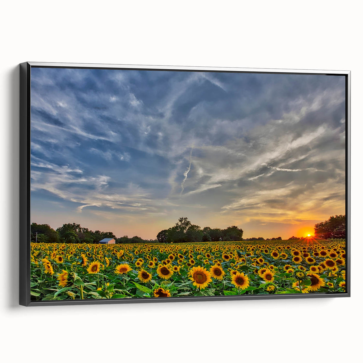 Black and white wall art featuring a vintage-style Kansas landscape on a framed canvas, suitable for bedroom decor.