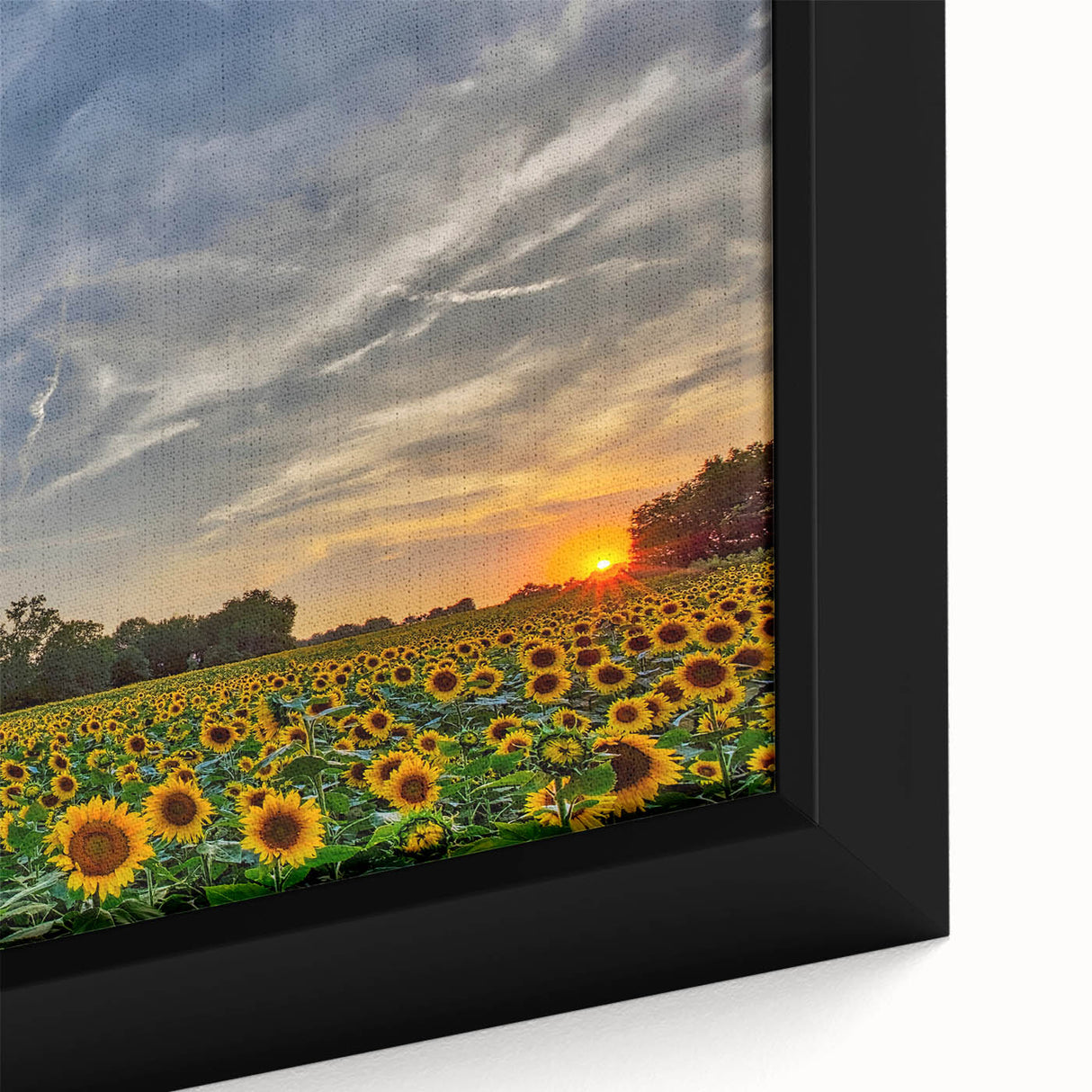 Extra large black wall art featuring a textured Kansas scenery on framed canvas, with colorful accents.