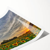 Extra large wall art featuring line art flowers in black and white on rolled canvas, ideal for large living room decor.