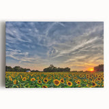 Black and white photo of Kansas scenery on large stretched canvas, ideal for kitchen wall art.