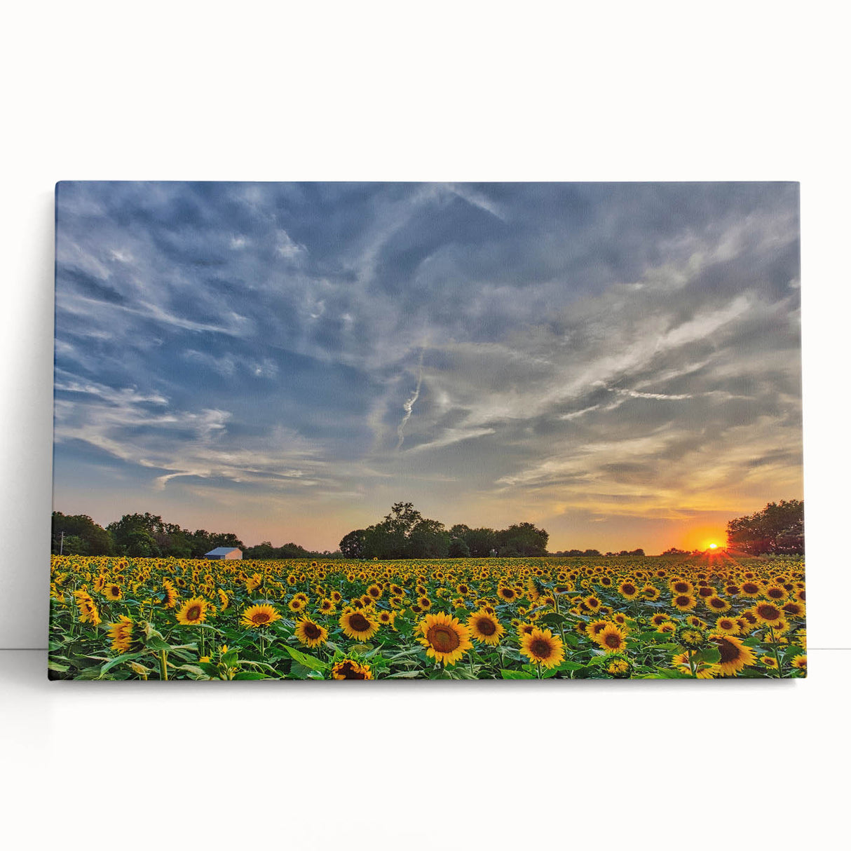 Black and white photograph of a Kansas landscape on stretched canvas, ideal for kitchen wall art or bedroom decor.