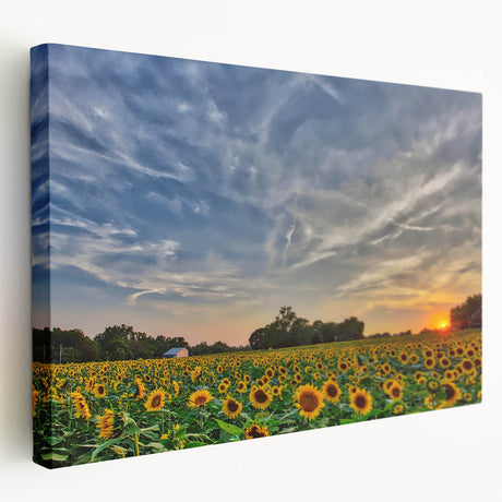 Large art depicting Kansas scenery on a stretched canvas with earthy tones, suitable for kitchen wall art.