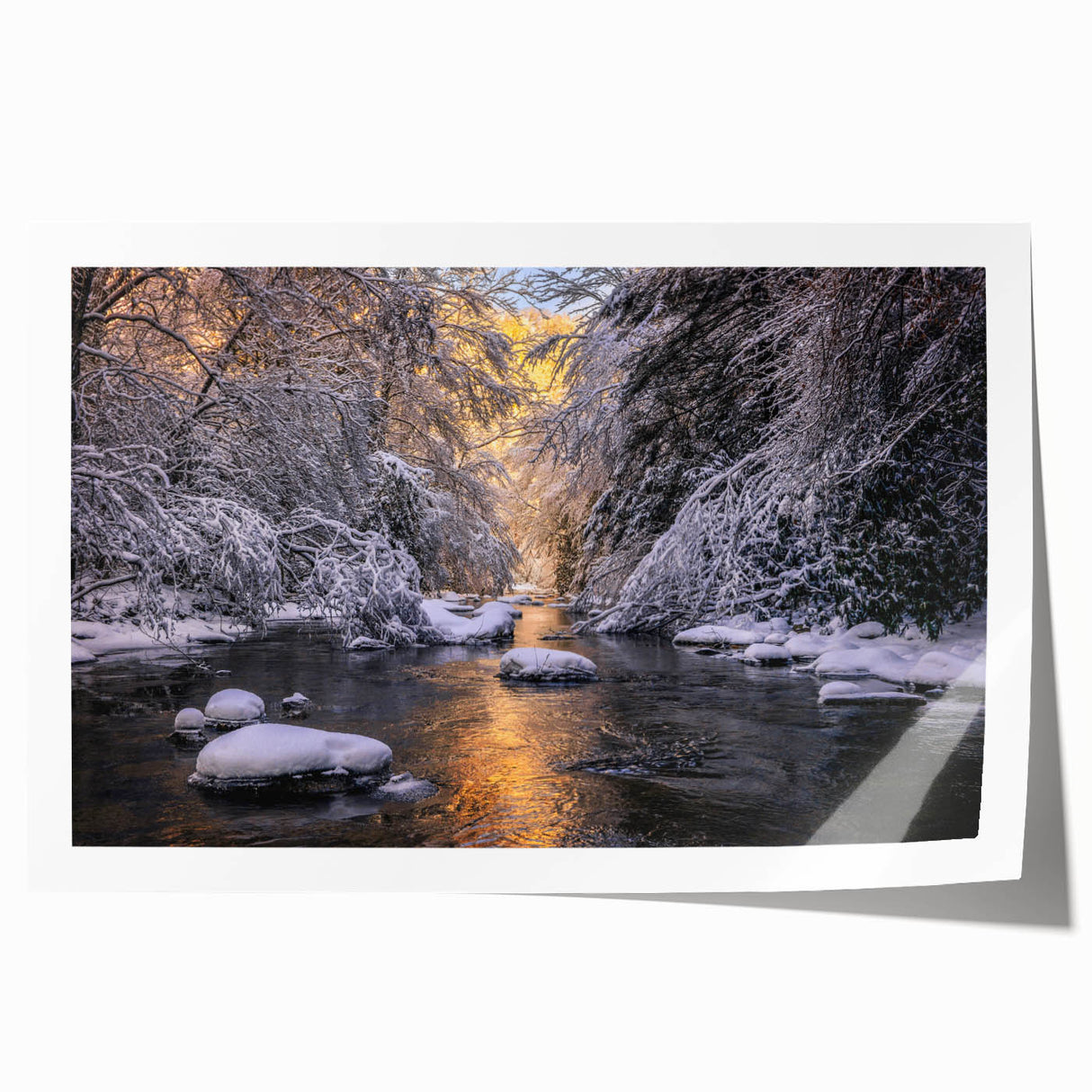 Rolled print of a Kentucky landscape with lush greenery and floral elements in soft earth tones.