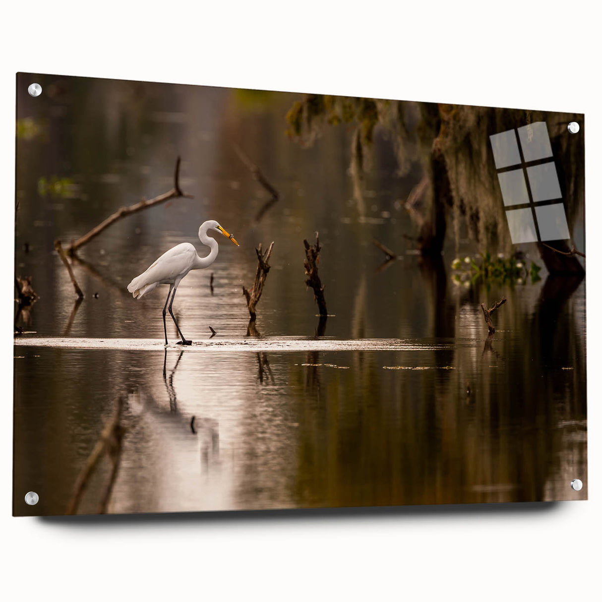 Acrylic print of a Louisiana landscape in muted earth tones, ideal for dining room decor.