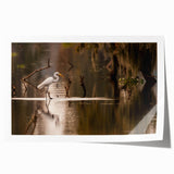 Rolled print of Louisiana scenery with vibrant floral elements, ideal for art wall dining room.