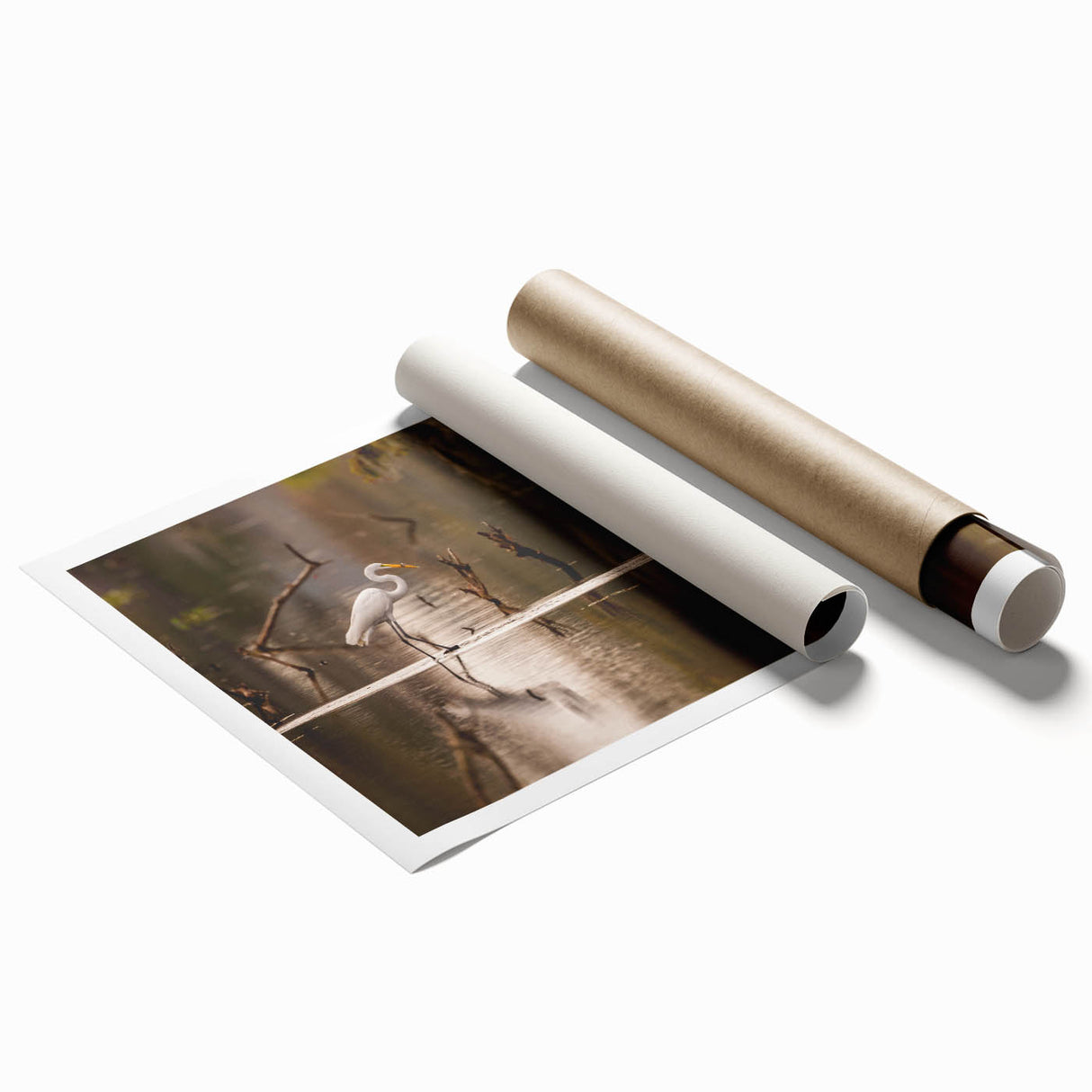 Extra large rolled print featuring a Louisiana swamp scene with soft green and brown tones.