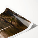 Extra large wall art featuring line art flowers in black on white, rolled print, suitable for large living room decor.