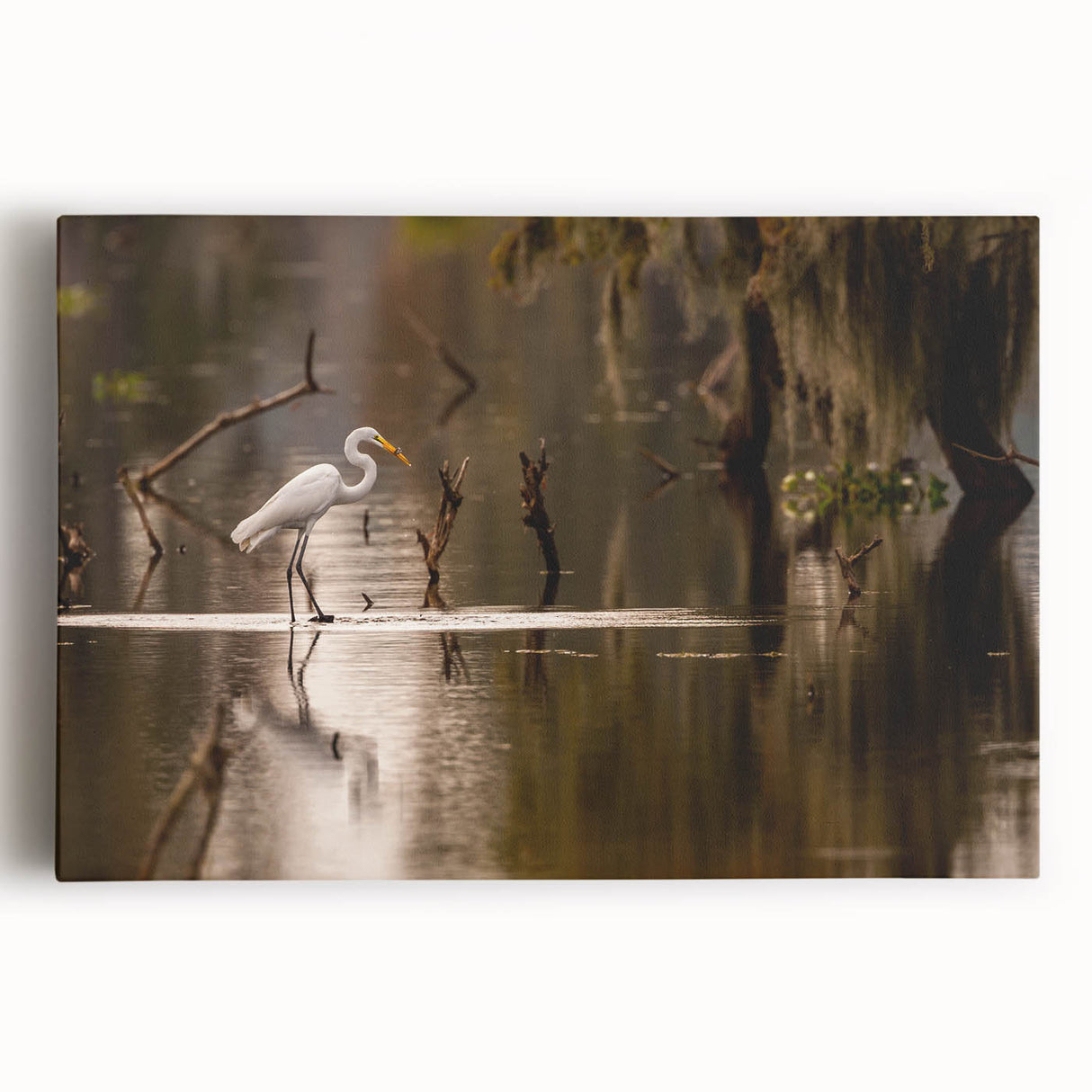 Black and white photo of Louisiana scenery on large stretched canvas, suited for kitchen wall art.
