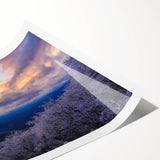 Extra large wall art featuring line art flowers in soft pastel shades on a rolled canvas.