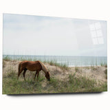 Acrylic print of the Outer Banks in North Carolina, featuring a serene beach scene in soft blue and beige tones.