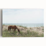 Black and white photograph of Outer Banks, North Carolina on stretched canvas, ideal for kitchen wall art.