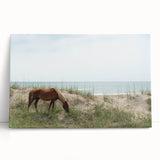 Black and white photograph of Outer Banks on stretched canvas, ideal for kitchen wall art or bedroom ambiance.