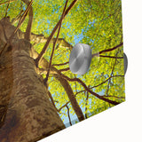 Mid-century modernist acrylic print of abstract Raleigh scenery in muted earth tones, ideal for dining room art.