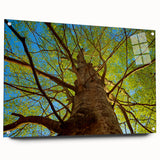 Acrylic print of Raleigh, North Carolina skyline in muted blue and gray tones, suitable for dining room or bedroom decor.