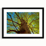 Abstract art print of Raleigh, featuring vibrant colors and textured design on a large framed canvas.