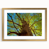 Extra large wall art featuring abstract Raleigh skyline in textured hues of gold and blue, framed with a gold mat.