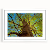 Abstract art print of Raleigh skyline in muted gray tones on a framed white mat, ideal for dining room decor.