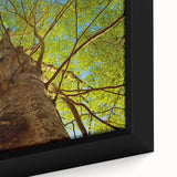 Framed canvas of Raleigh, North Carolina skyline featuring textured black silhouettes with a colorful, abstract background.