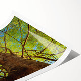 Extra large wall art featuring line art flowers in black and white, ideal for large living room walls, rolled print format.