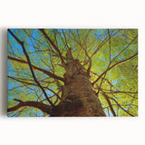 Black and white large art print of Raleigh skyline on stretched canvas, ideal for kitchen wall art.